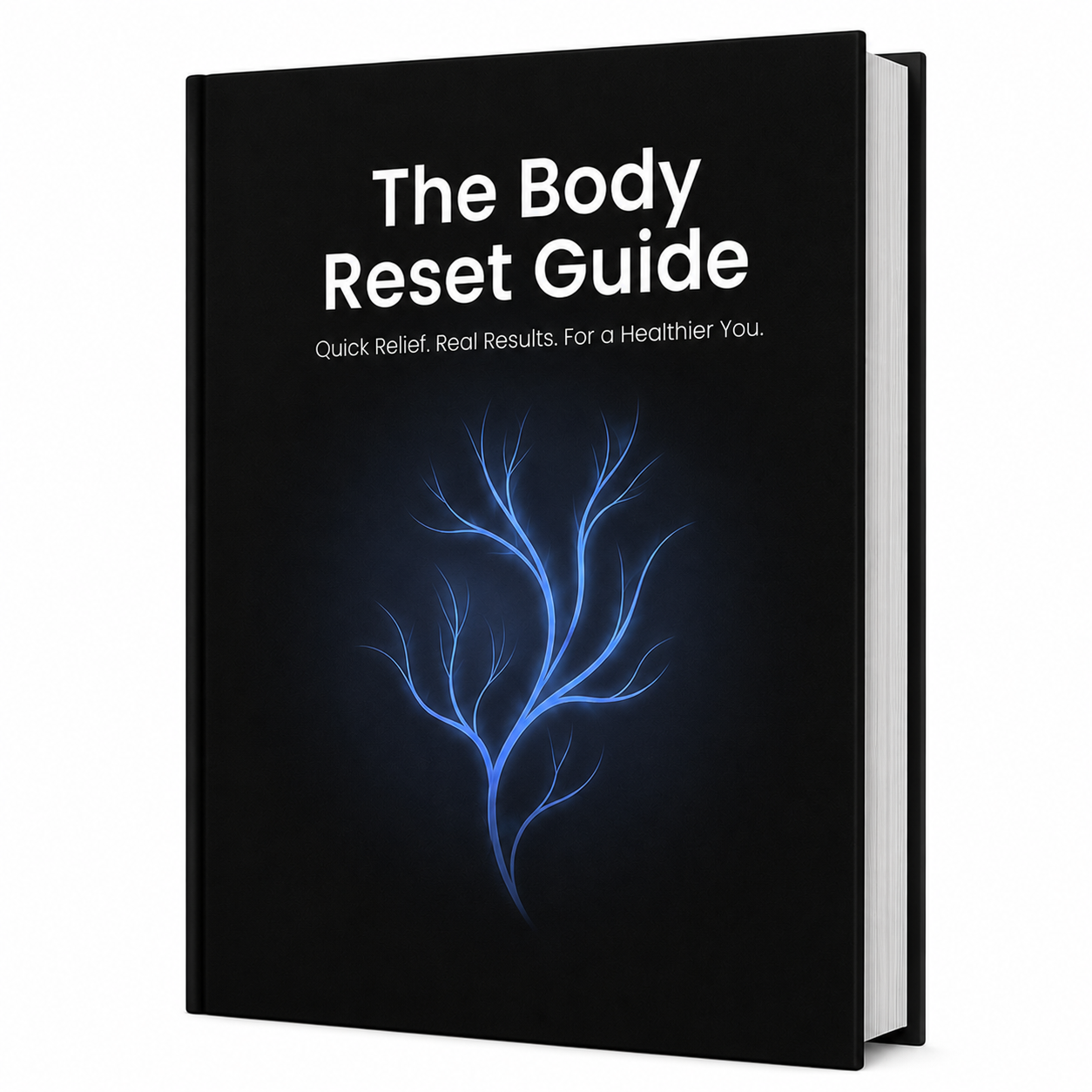 Ebook - The Body Reset Guide