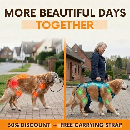Solniera™ Mobility Harness