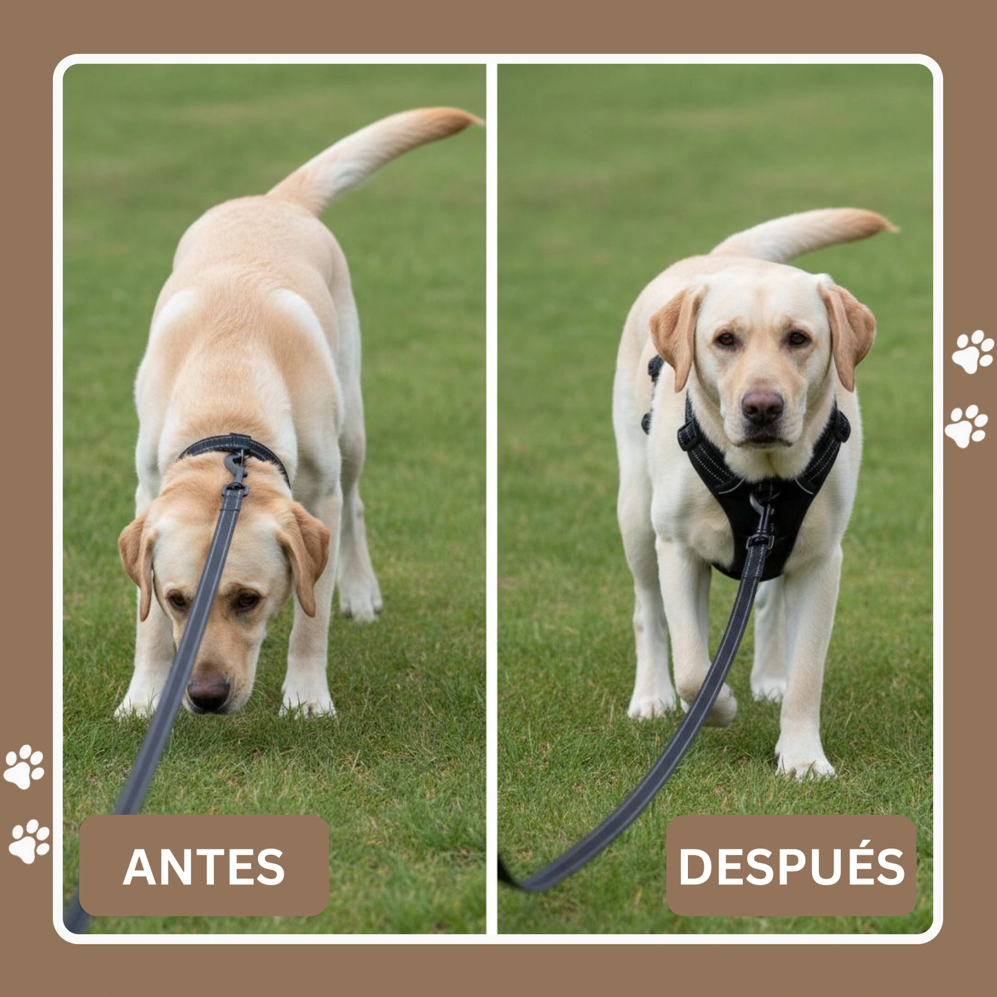 Solniera™ Arnés antitirones