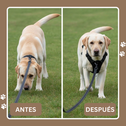 Solniera™ Arnés antitirones