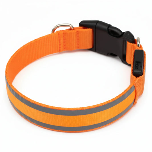 Solniera™ Collar luminoso
